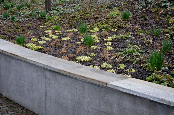 Cost of Concrete Wall Construction in Tinley Park