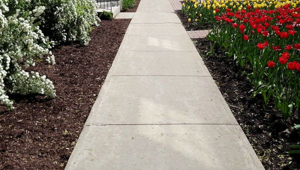 Cost of Sidewalk Slab Replacement in Tinley Park