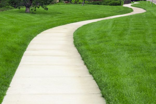Cost of Sidewalk Paving in Tinley Park