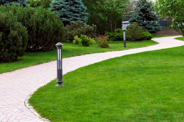 Cost of Backyard Sidewalk Installation in Tinley Park